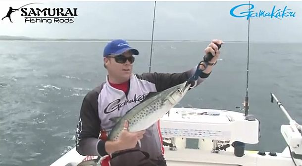 VIDEO: Catching and rigging live baits for mackerel